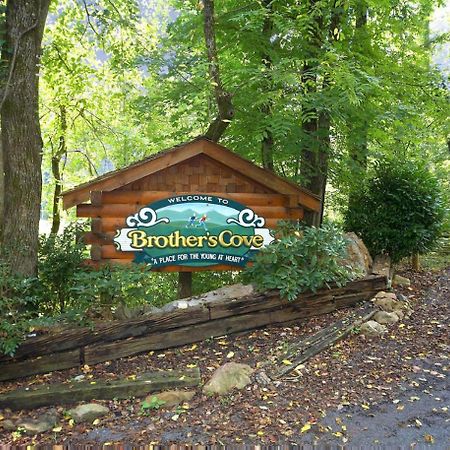 Bear Hug #18 Sevierville Exterior foto